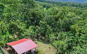 Cabana Timarama